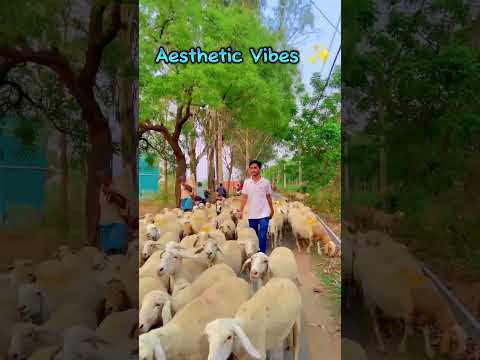 YouTube Shorts VIRAL करे सिर्फ 10 मिनट में (New TRICK)| How to Viral Short Video without Google Ads