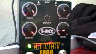 T-REX Crunchy Frog demo