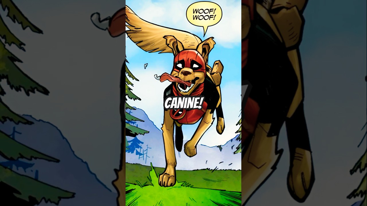 Who is DOGPOOL? 🐶