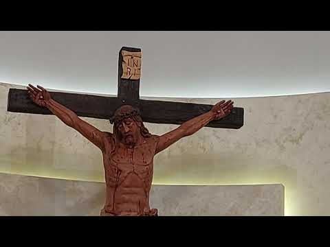 Propovijed vlč. K.Zeba: "Budi i ti anđeo"