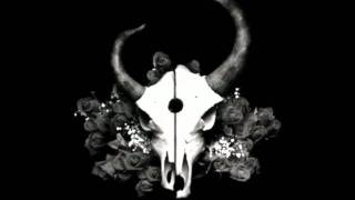 Demon Hunter - Summer of Darkness