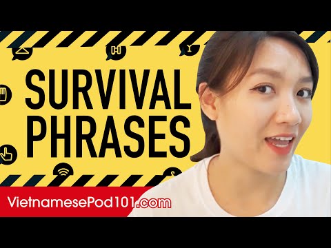 All Survival Phrases You Need in Vietnamese! Learn Vietnamese in 30 Minutes!