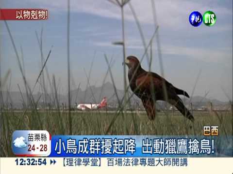 獵鷹空中巡邏 "護航"飛機升降