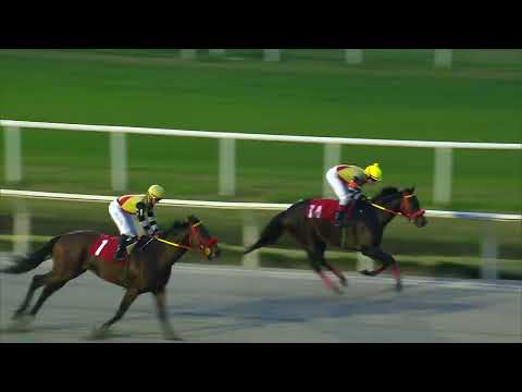 230624 c09 - QUIXOTE - HIPODROMO DE MAROÑAS