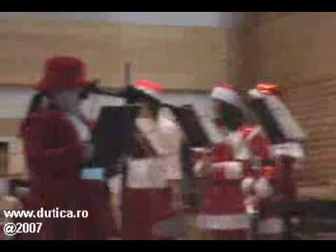 02.CONCERT DE COLINDE "Alpha Lirae" 2007-Instrumentele