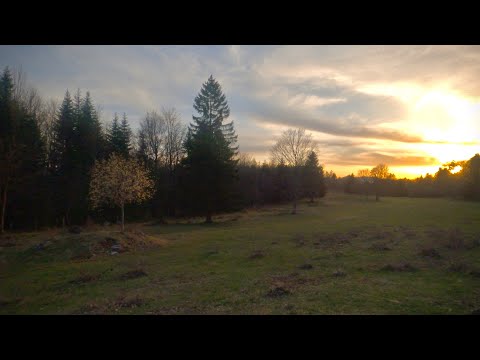 Romont BE - Bözingenberg - Biel/Bienne