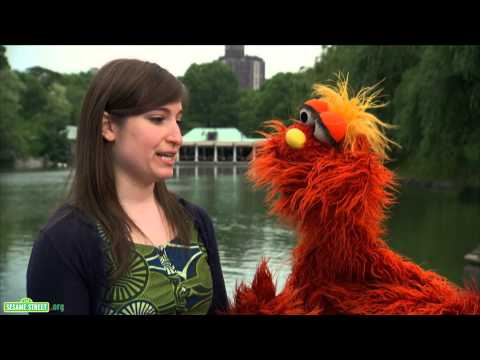 セサミストリート。通りの言葉 - バイブレーション (Sesame Street: Word on the Street -- Vibrate)