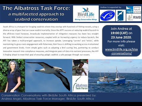 Conservation Conversations: Andrea Angel - The Albatross Task Force