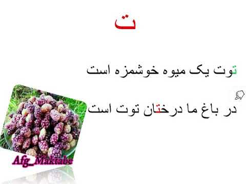 Learn Dari/Farsi (Afghanistan) for beginners Lesson 6   آموزش  زبان دری ابتدایی  درس ۶