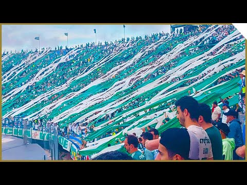 TORCIDA DO PALMEIRAS NA FINAL DA LIBERTADORES 2021!