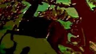 KREIDLER - Reflectuum (Eve Future)