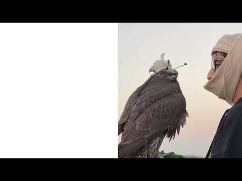 ‎هو شوفه غايتي ️