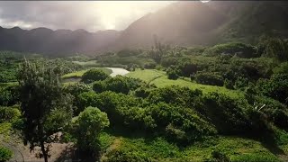 Hawaii at the Environmental Crossroads