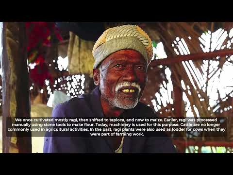 Oscar Solar: Empowering Sustainable Livelihood