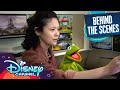 Kermit The Frog Consultant Amphibia Disney Channel
