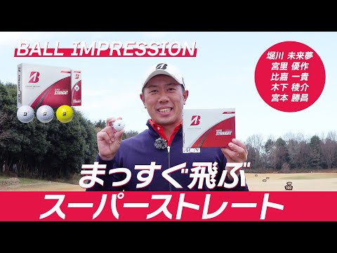 年中夢球様 リクエスト 2点 まとめ商品 芸術の夢を追い渡 年中夢球様 リクエスト 2点 まとめ商品 芸術の夢を追い渡