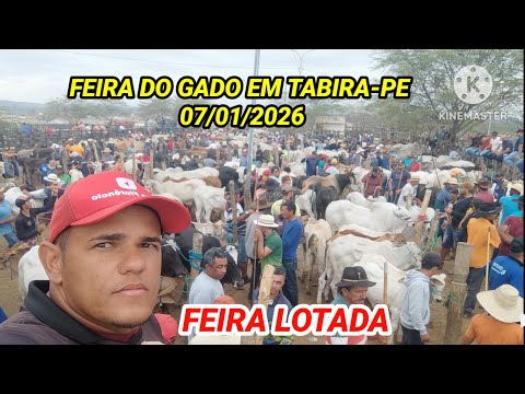 Tabira-PE Cattle Fair / Oxen and Cattle Teams, January 7, 2026