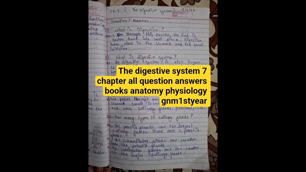 the digestive system chapter 7 anatomy physiology complete question answers gnm1styear #gnm #science