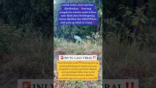 Download lagu 🔴Inilah jadinya bila C1nta dip4ksakan‼️ mp3 Download lagu 🔴Inilah jadinya bila C1nta dip4ksakan‼️ mp3