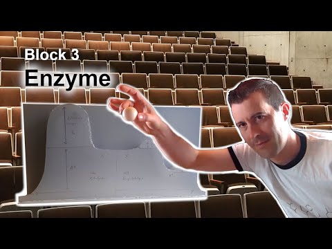 Grundvorlesung "Uni-Version" - Block 3: Enzyme