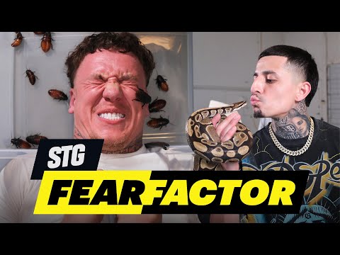 STG nimmt sich FEAR FACTOR vor!