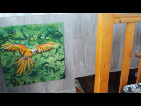 Luxemotor Dutch  Barge  - Boatshed - Boat Ref#222554