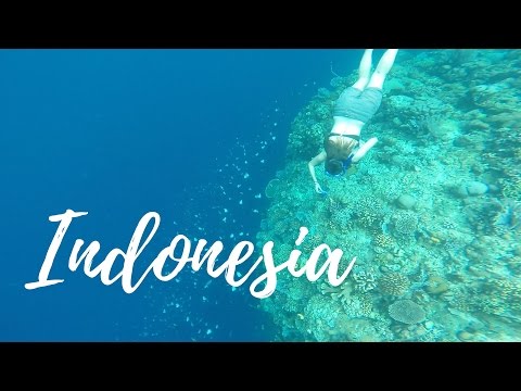 Indonesia Part 1 - Exploring Northern Sulawesi | THATraveller