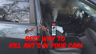 How To Remove Ants From Car (Acura MDX)