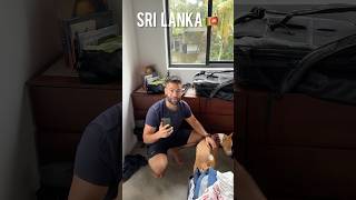 Sri Lankan Dogs Don't Speak English