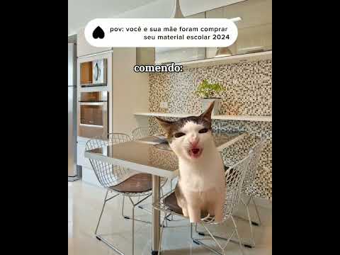 pov de gatinhos:comprando material escolar 2024