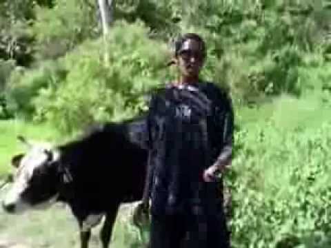 Indian Cultural Vibrations - Produced & Directed by Jairam Dindial