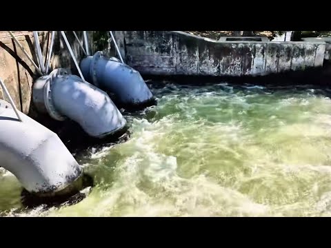 El paraíso escondido de Chalatenango que pocos conocen y todos quieren visitar... 🌴💦