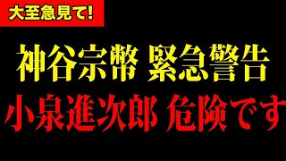 【神谷宗幣】※小泉進次郎について驚愕の事実が判明しました。日本国民のみなさんは大至急みてください！