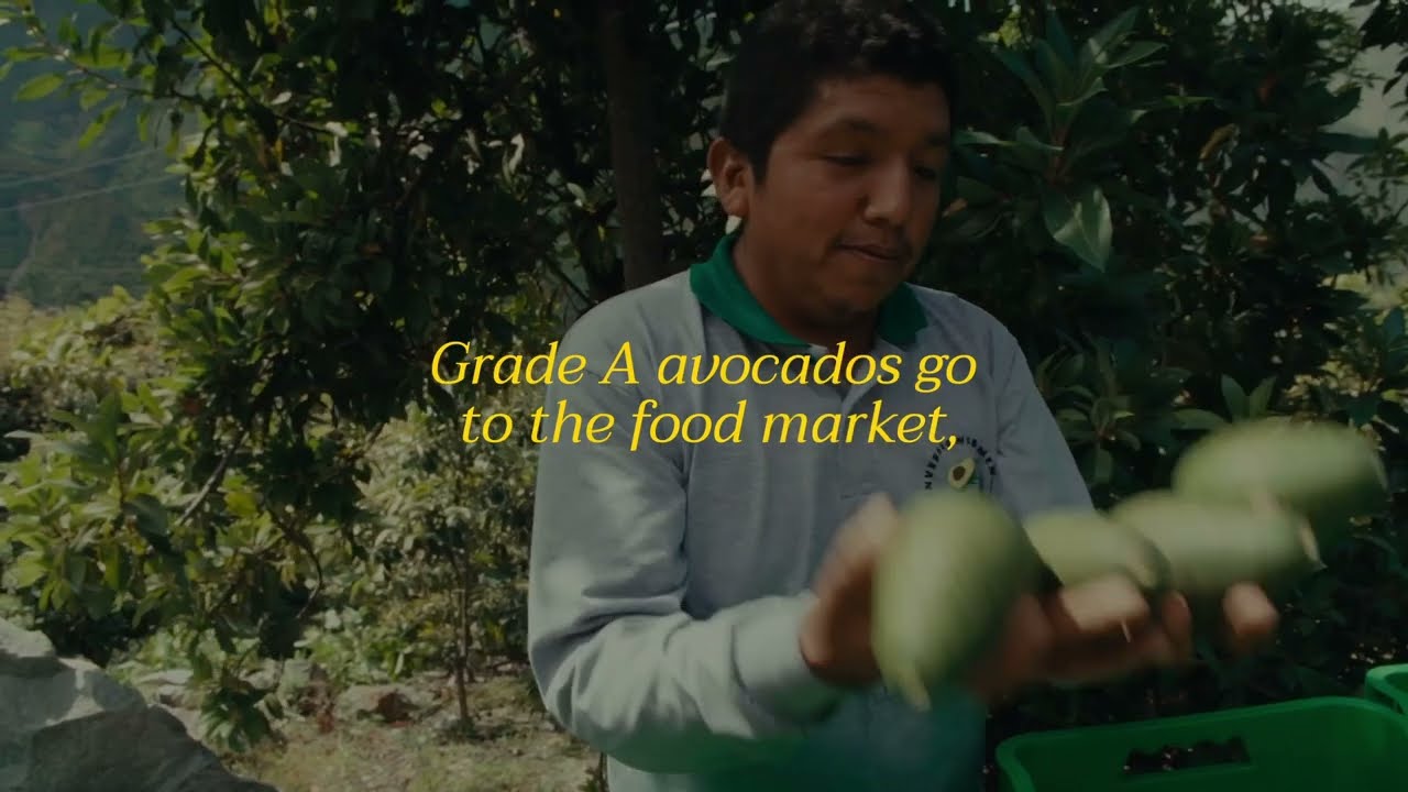 Our Avocado Story — Mustela