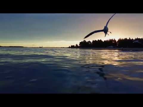 Canterbury Beach Sunsets (Riptide - Stealth Cover Visualiser)