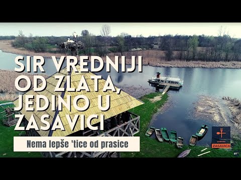 NAJSKUPLJI SIR na SVETU - Pule | Vrelo PEČENJE iz furune | Gulaš od MANGULICE | GURMAN Ep.37