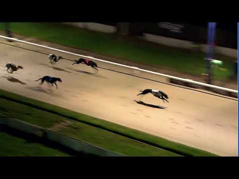 2020 RPGTV ST LEGER - 3RD SEMI - T3 SMALLMEAD