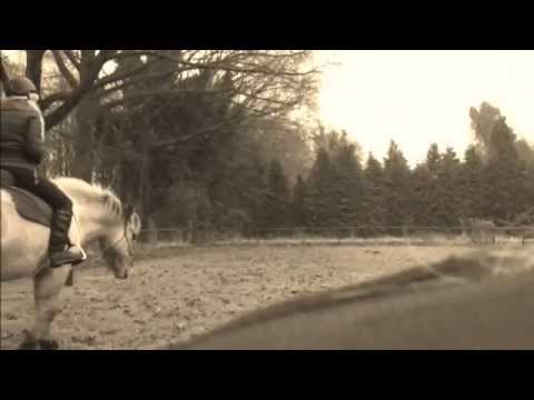 Konik Pumbaa- Neckreining and Bridleless Riding