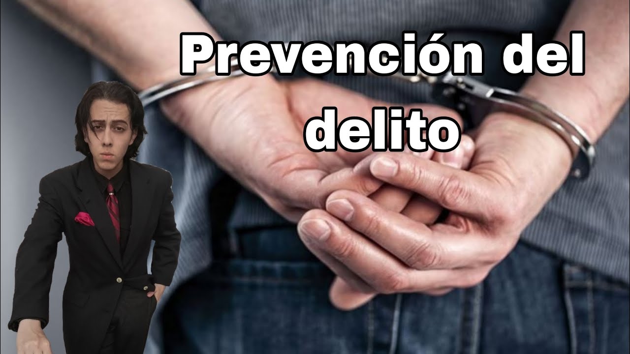 Modelos de prevención del delito