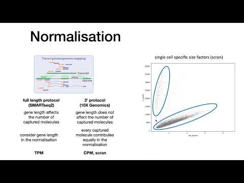 3rd scanpy session - Normalisation, Batch correction, Highly variable Genes, Embeddings
