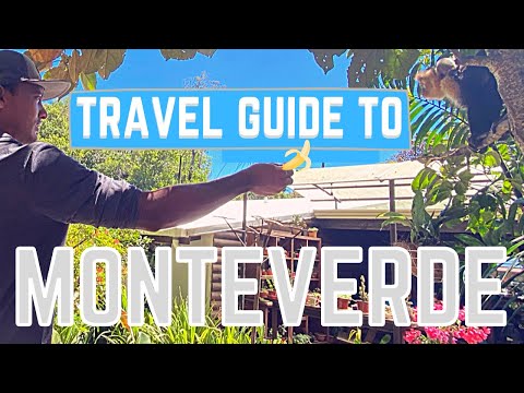 Travel Guide To Monteverde, Costa Rica