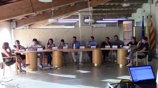 Ple ordinari del 30 de juliol de 2026