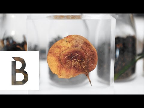 【城市尋味】連手拿杯都是大理石紋！茶飲版藍瓶「JIATE」讓喝茶也時髦