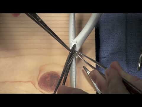 End-to-Side Vascular Anastomosis