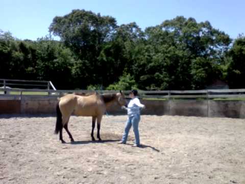 Basic Etiquette in Fundamentals DVD#3 6/24/14