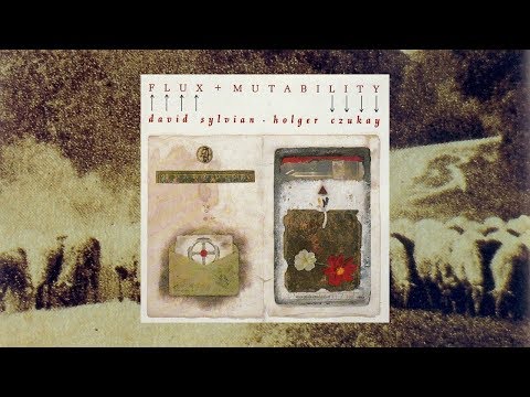 David Sylvian & Holger Czukay / Flux & Mutability (Full Album)