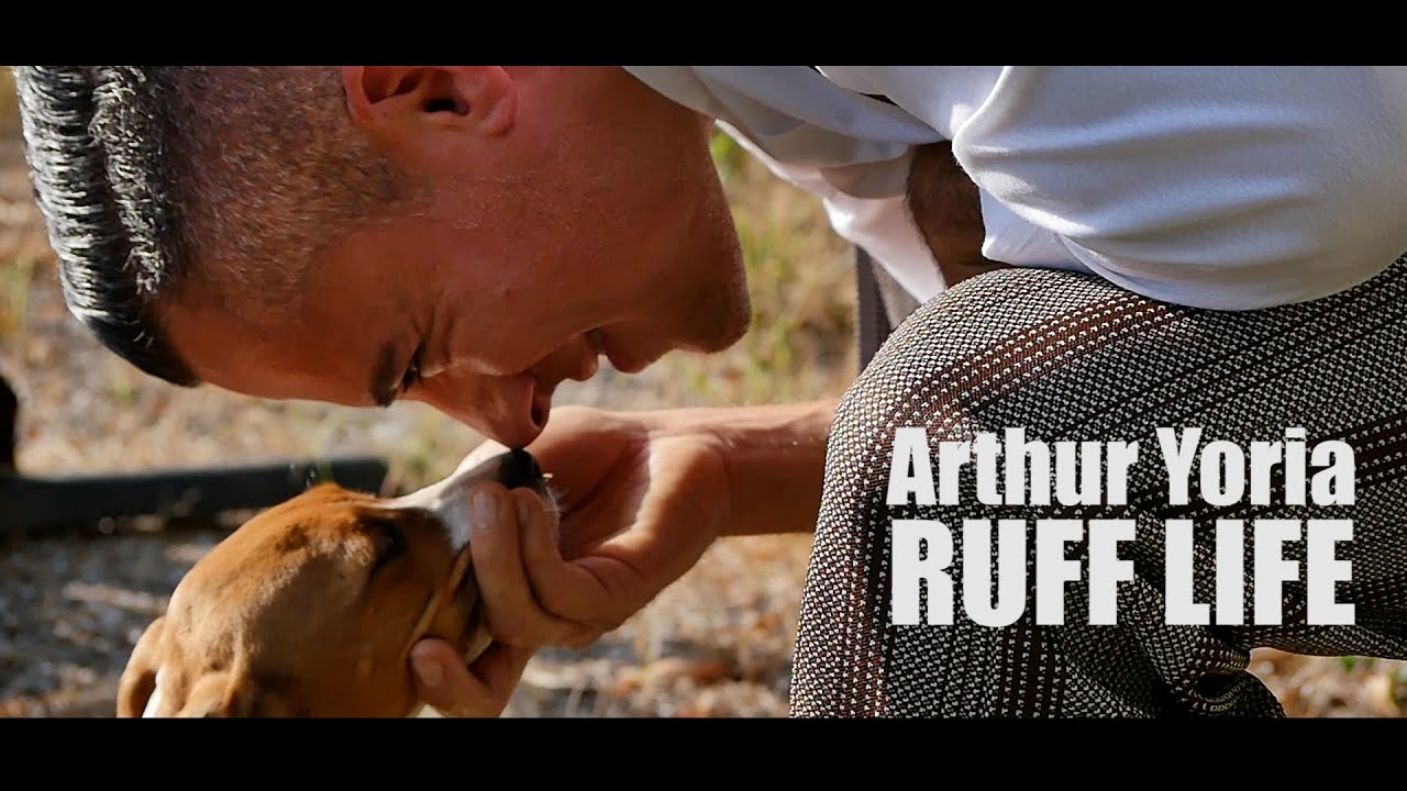 Promotional video thumbnail 1 for Arthur Yoria