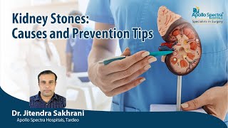 Kidney Stones: Causes and Prevention Tips by Dr. Jitendra Sakhrani, Apollo Spectra