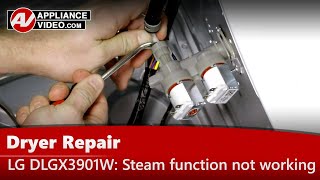 LG Dryer Repair: Water Inlet Valve Is Leaking