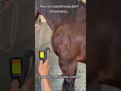 Aplicação Veterinária (Equinos) video 3